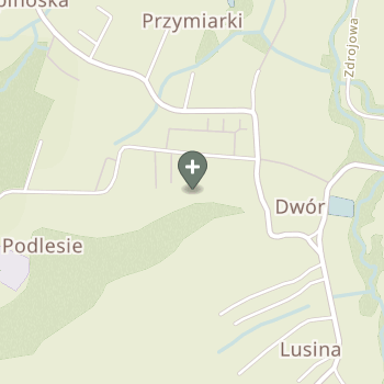 Praktyka Fizjoterapeutyczna na mapie