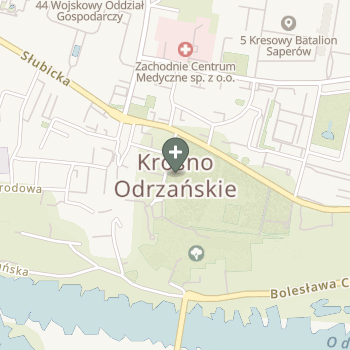 Praktyka Fizjoterapeutyczna na mapie