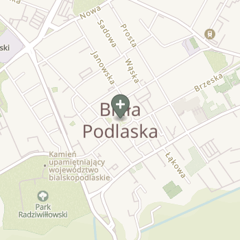 Praktyka Fizjoterapeutyczna na mapie