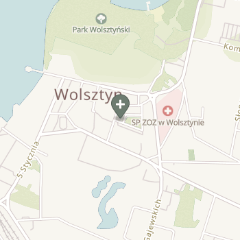 Praktyka Fizjoterapeutyczna na mapie