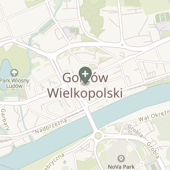 Praktyka Fizjoterapeutyczna na mapie
