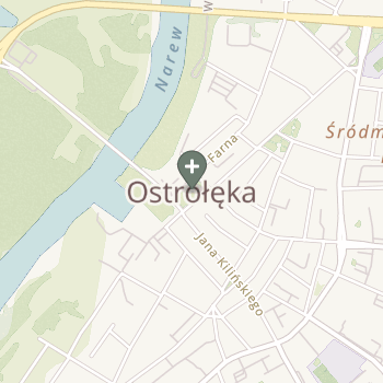 Praktyka Fizjoterapeutyczna na mapie