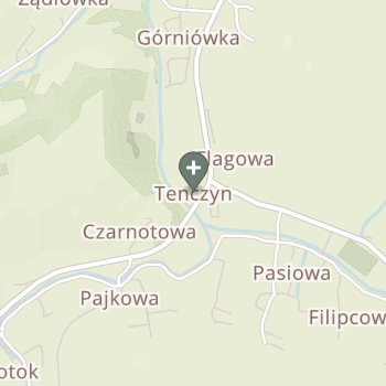 Praktyka Fizjoterapeutyczna na mapie