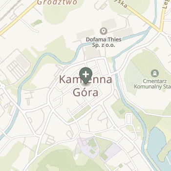 Praktyka Fizjoterapeutyczna na mapie