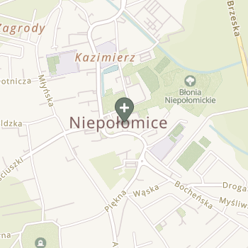 Praktyka Fizjoterapeutyczna na mapie