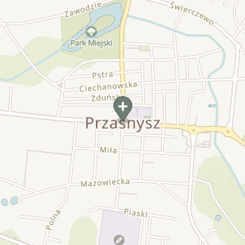 Praktyka Fizjoterapeutyczna na mapie