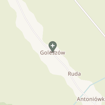 Praktyka Fizjoterapeutyczna na mapie