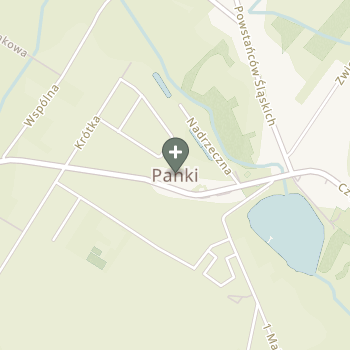 Praktyka Fizjoterapeutyczna na mapie