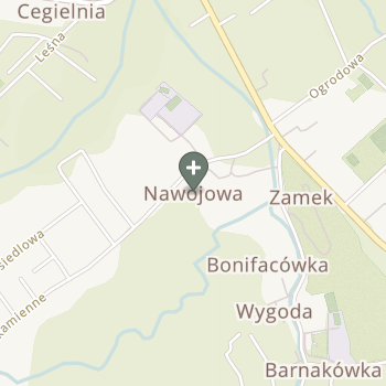 Praktyka Fizjoterapeutyczna na mapie