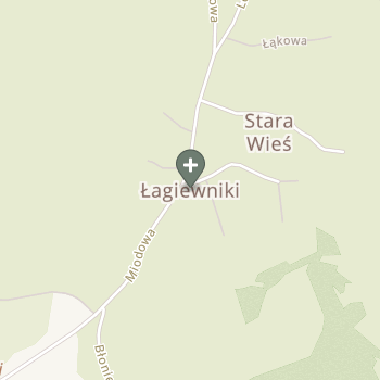 Praktyka Fizjoterapeutyczna na mapie