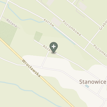 Katarzyna Wojnicz-Ghosheh na mapie