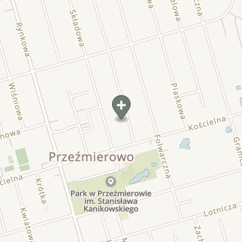 Praktyka Fizjoterapeutyczna na mapie