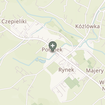 Praktyka Fizjoterapeutyczna na mapie