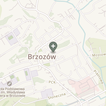 Praktyka Fizjoterapeutyczna na mapie
