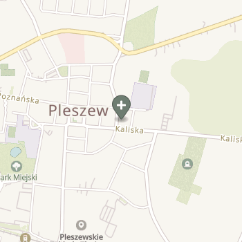 Praktyka Fizjoterapeutyczna na mapie