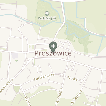 Praktyka Fizjoterapeutyczna na mapie