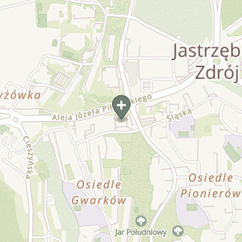 Praktyka Fizjoterapeutyczna na mapie