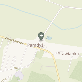 Praktyka Fizjoterapeutyczna na mapie
