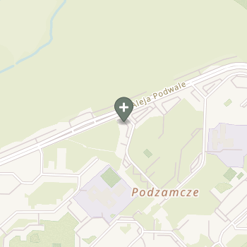 Praktyka Fizjoterapeutyczna na mapie