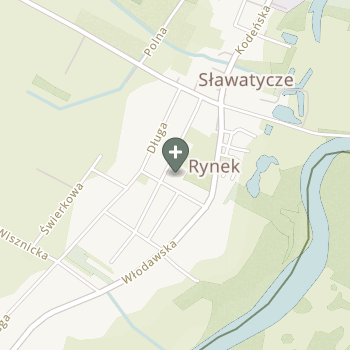 Praktyka Fizjoterapeutyczna na mapie