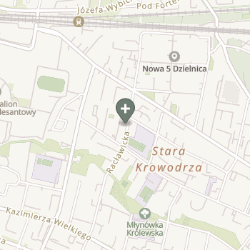 Praktyka Fizjoterapeutyczna na mapie
