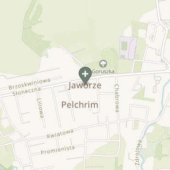Praktyka Fizjoterapeutyczna na mapie