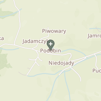 Praktyka Fizjoterapeutyczna na mapie