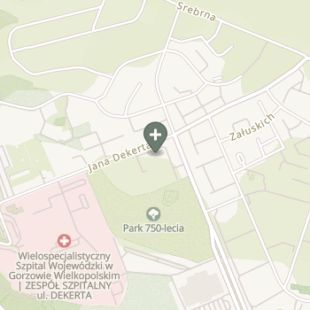 Praktyka Fizjoterapeutyczna na mapie