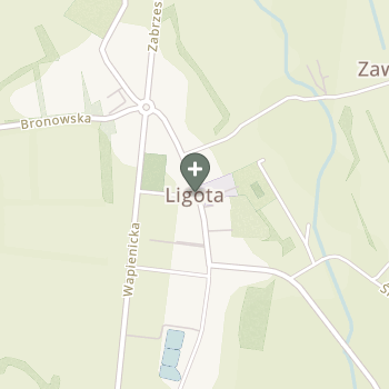 Praktyka Fizjoterapeutyczna na mapie