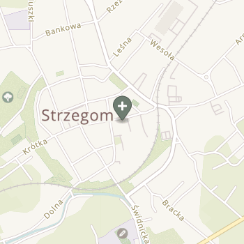 Praktyka Fizjoterapeutyczna na mapie