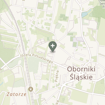 Praktyka Fizjoterapeutyczna na mapie