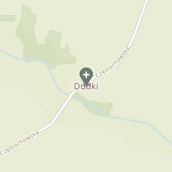 Praktyka Fizjoterapeutyczna na mapie