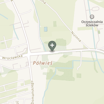 Praktyka Fizjoterapeutyczna na mapie
