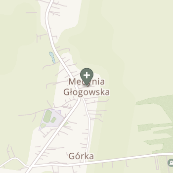 Praktyka Fizjoterapeutyczna na mapie