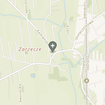 Praktyka Fizjoterapeutyczna na mapie