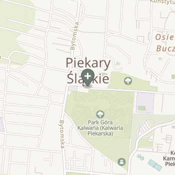 Praktyka Fizjoterapeutyczna na mapie
