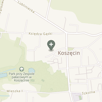 Praktyka Fizjoterapeutyczna na mapie