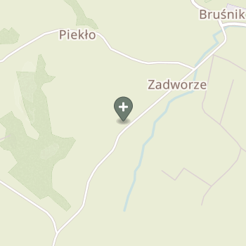 Praktyka Fizjoterapeutyczna na mapie