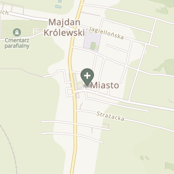 Praktyka Fizjoterapeutyczna na mapie