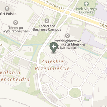Praktyka Fizjoterapeutyczna na mapie