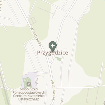 Praktyka Fizjoterapeutyczna na mapie