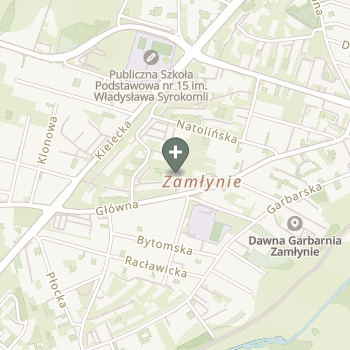 Praktyka Fizjoterapeutyczna na mapie