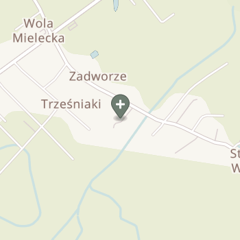 Praktyka Fizjoterapeutyczna na mapie