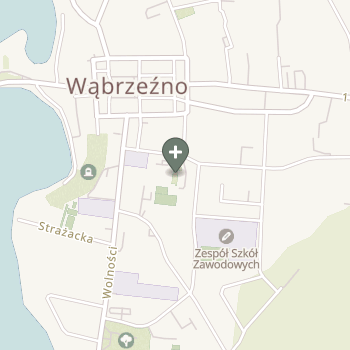 Praktyka Fizjoterapeutyczna na mapie