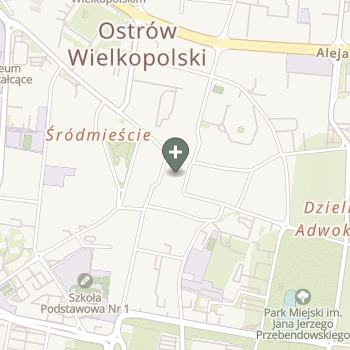 Praktyka Fizjoterapeutyczna na mapie