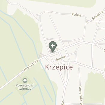 Praktyka Fizjoterapeutyczna na mapie