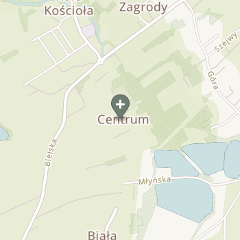 Praktyka Fizjoterapeutyczna na mapie