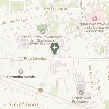 Praktyka Fizjoterapeutyczna na mapie