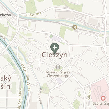 Praktyka Fizjoterapeutyczna na mapie