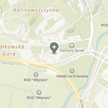 Praktyka Fizjoterapeutyczna na mapie